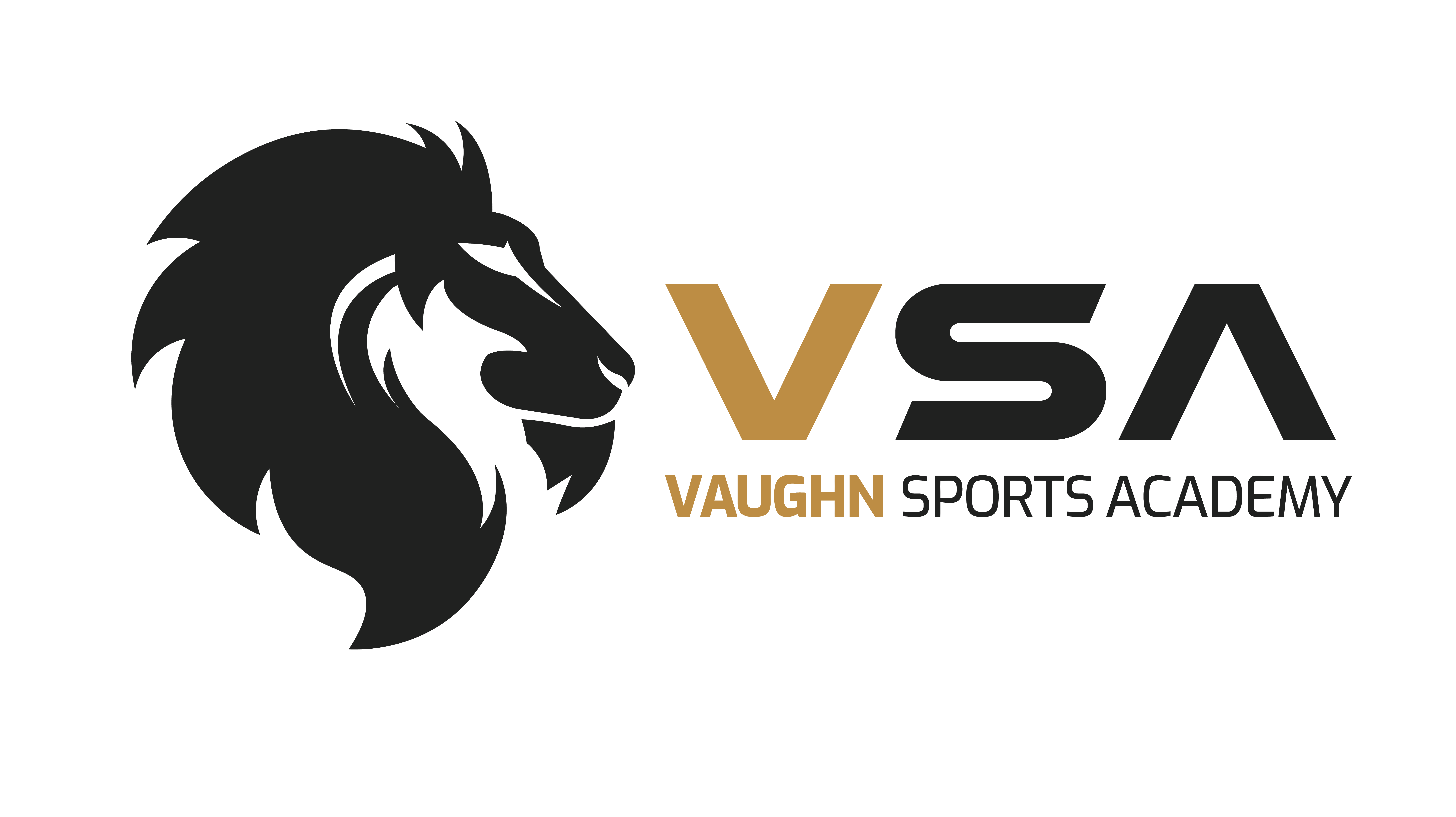 VSA Logo